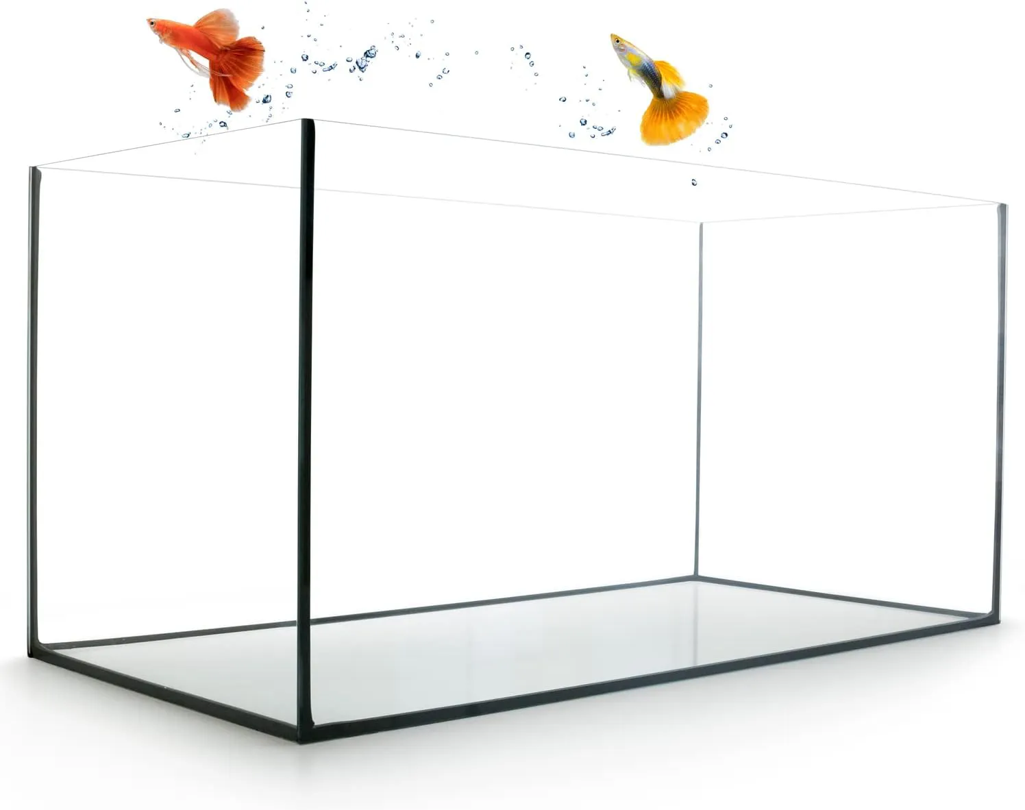Bild von GarPet Aquarium 60x30x30 cm mit 54 Litern für Salzwasser