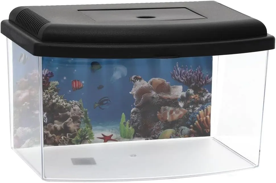 Bild von GarPet Mini Aquarium aus Acryl mit Deckel und Rückwandfolie für Fische, Triops und Garnelen