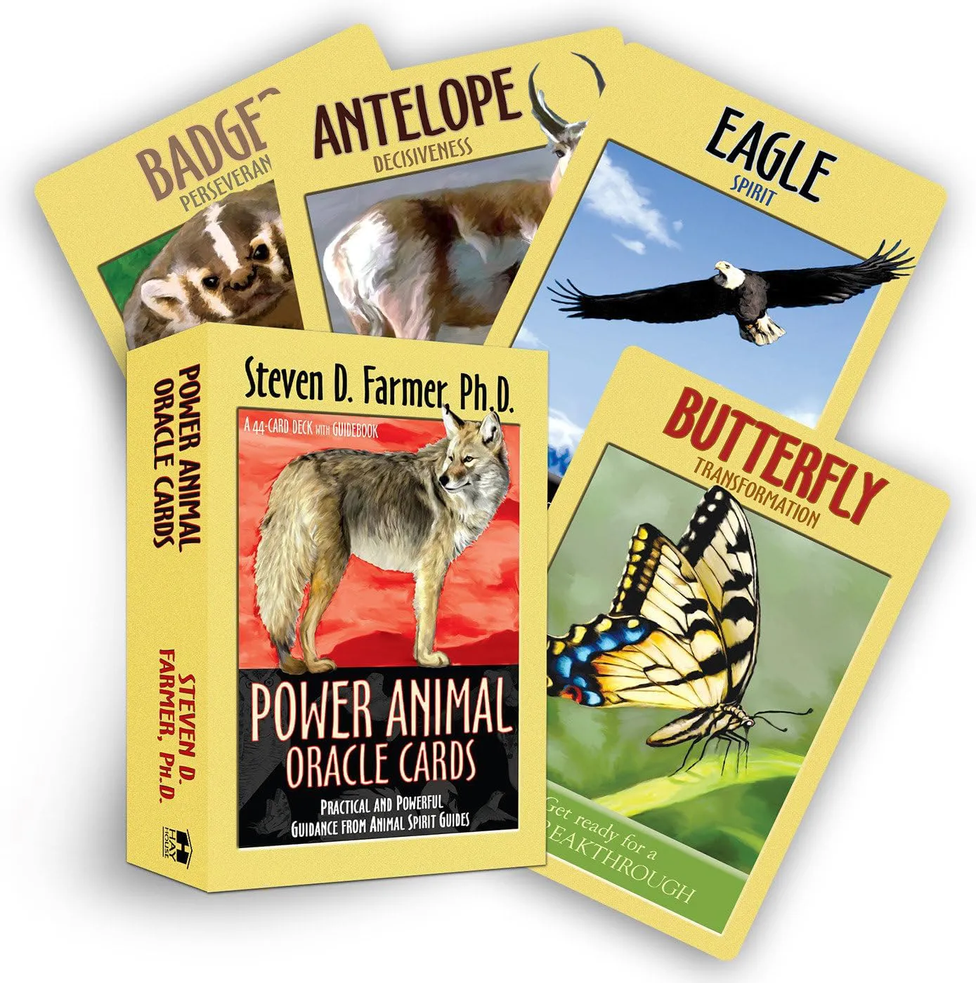 Bild von HayHouse Power Animal Oracle Cards mit praktischer und kraftvoller Anleitung von Tiergeistführern