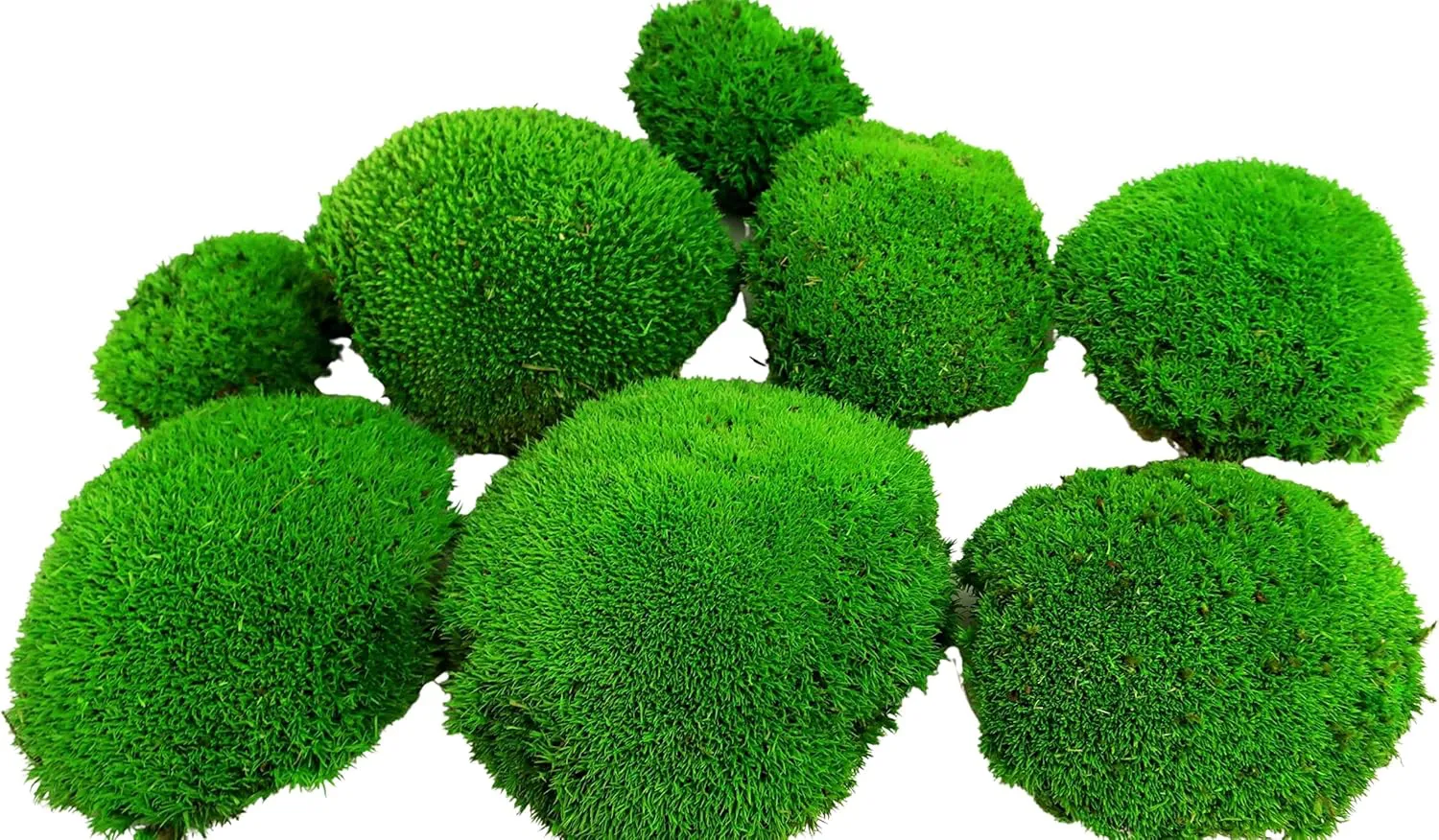 Bild von Hello Moss Konserviertes Moos Set mit 8 Kugelmoosstücken für Dekoration und Moosbilder, geeignet für Terrarien und Gläser