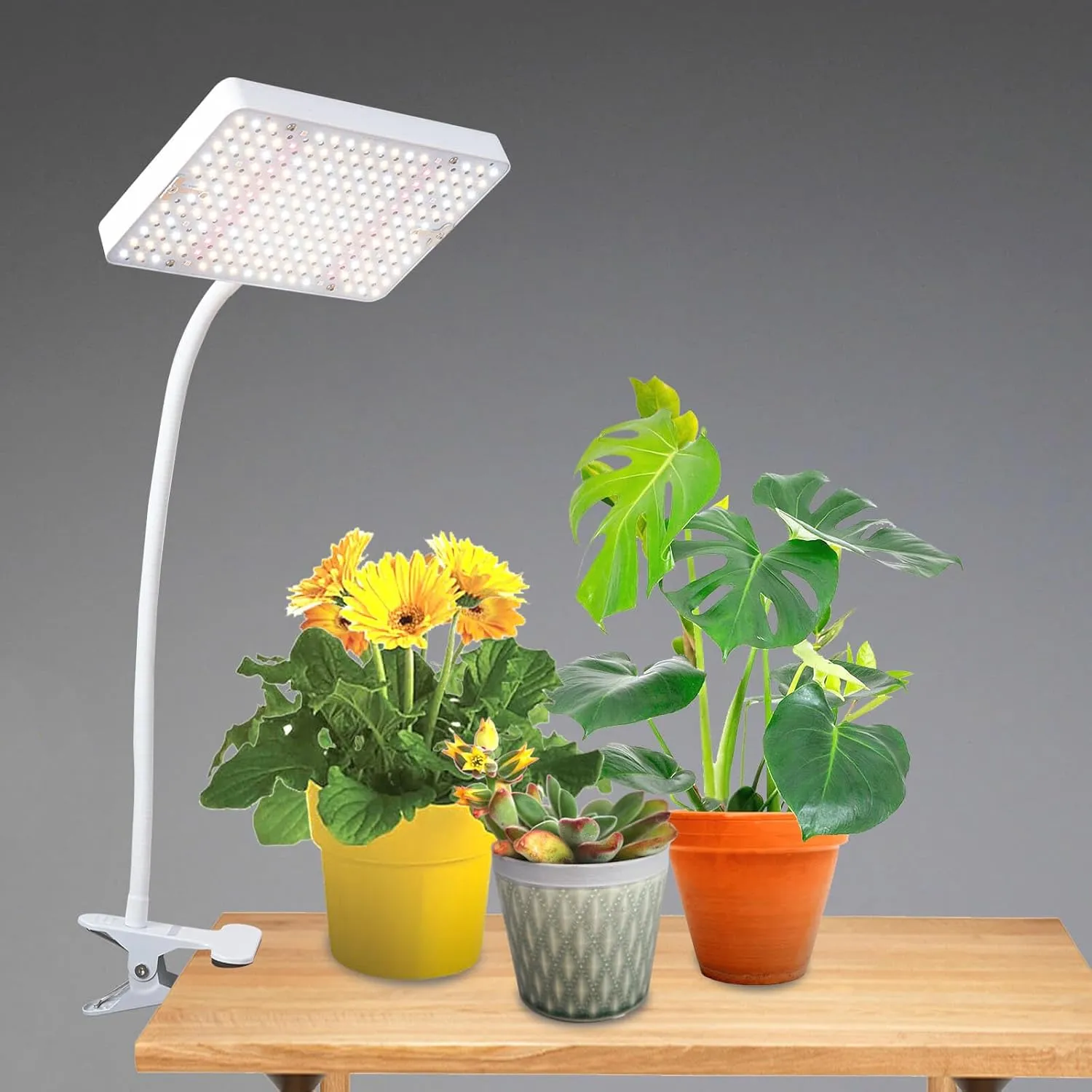 Bild von JINHONGTO Pflanzenlampe mit EU-Stecker, 25 Watt LED Vollspektrum und flexiblem Schwanenhals