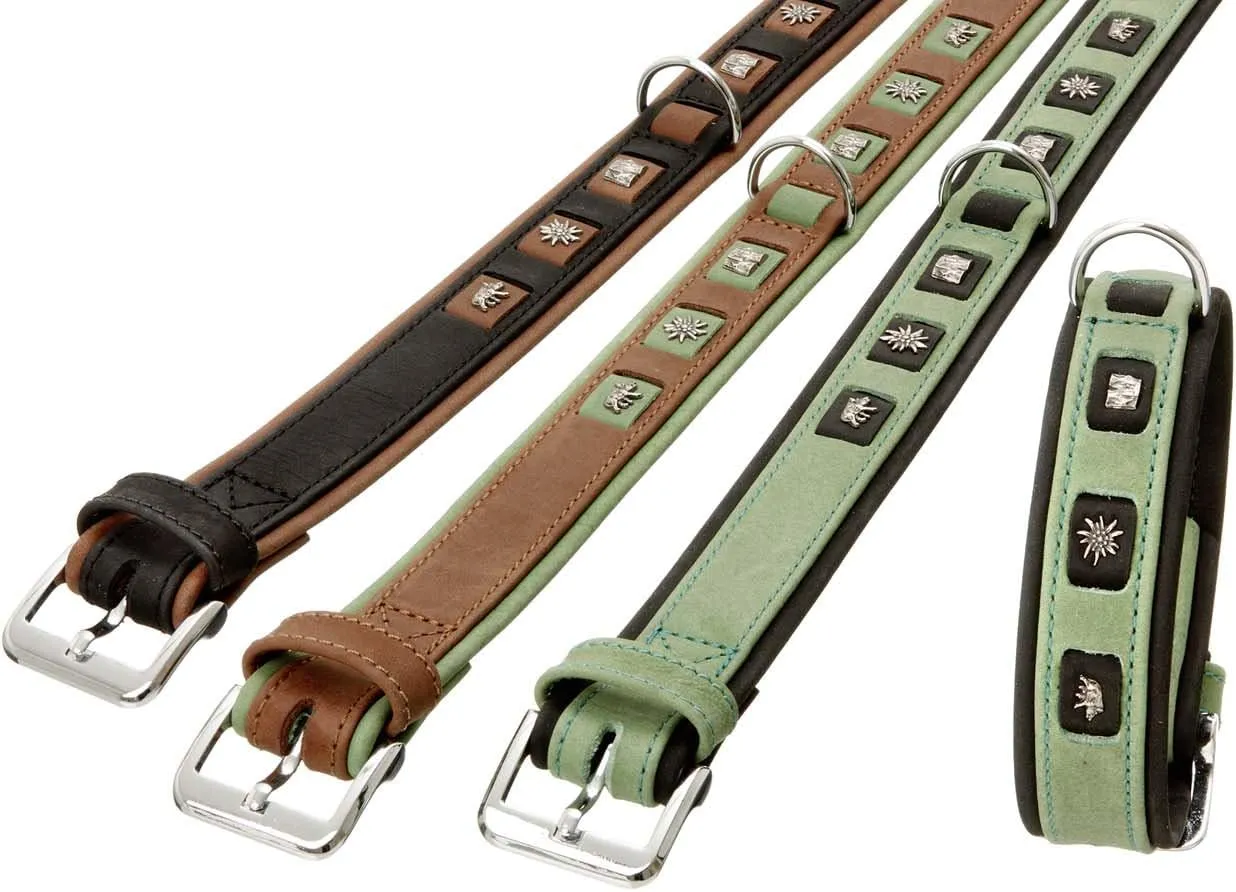 Bild von Karlie Buffalo Waidmannsheil Halsband in Grün-Schwarz, Größe L mit 40 cm Länge und 30 mm Breite, verstellbar von 29 bis 35 cm