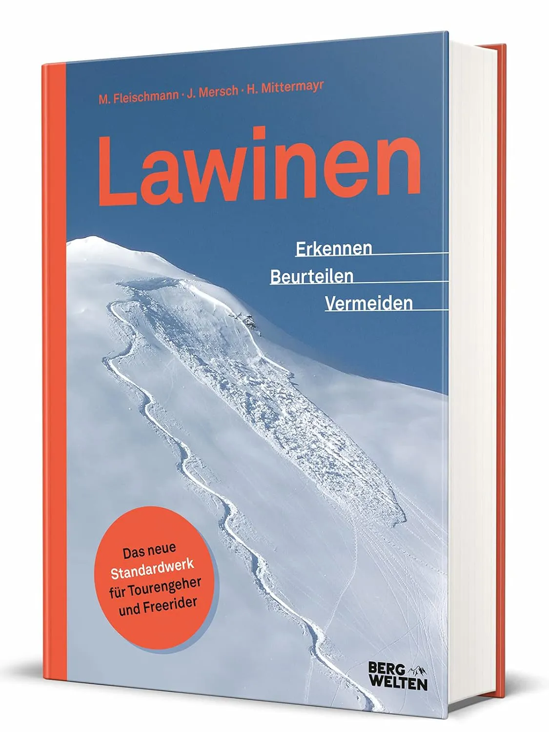 Bild von Lawinen erkennen beurteilen vermeiden