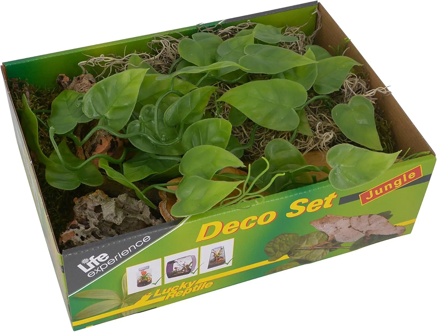 Bild von Life Experience Deco Set für kleine Nano-Terrarien