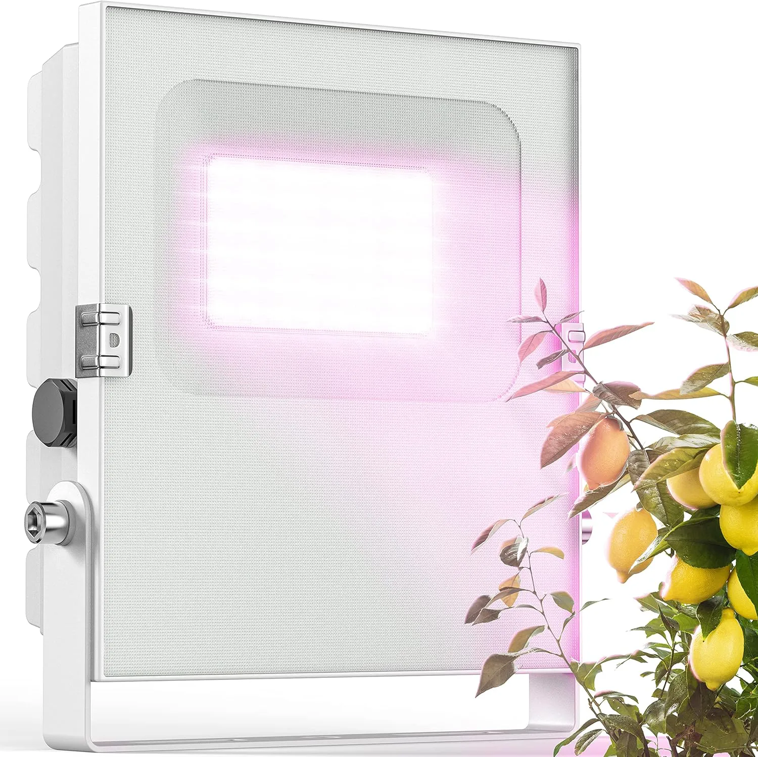 Bild von Meine Orangerie LED Pflanzenlampe für mediterrane Pflanzen mit Vollspektrum Licht