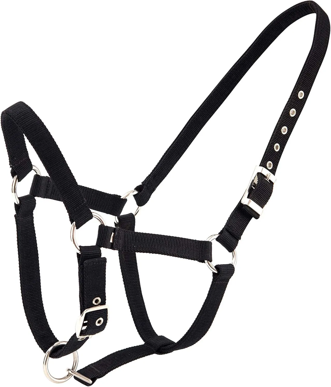Bild von Merauno Halterset Trendy aus Nylon für Pferde in Schwarz mit verstellbarer Schnalle und hochwertigem Polyesterband