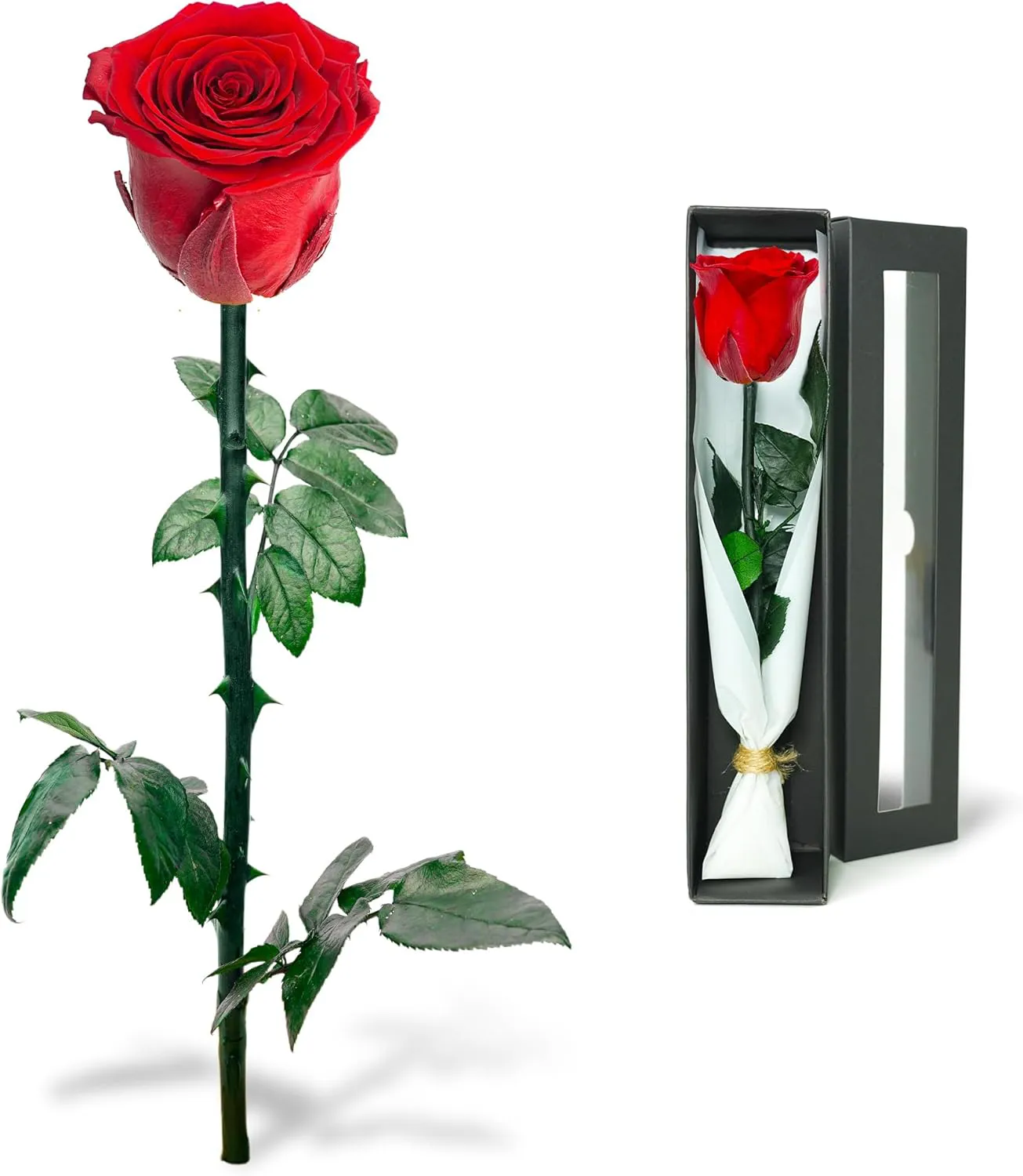 Bild von Naunauya Infinity Rose in Rosenbox, haltbare und konservierte Blume mit Ewigkeitsgarantie