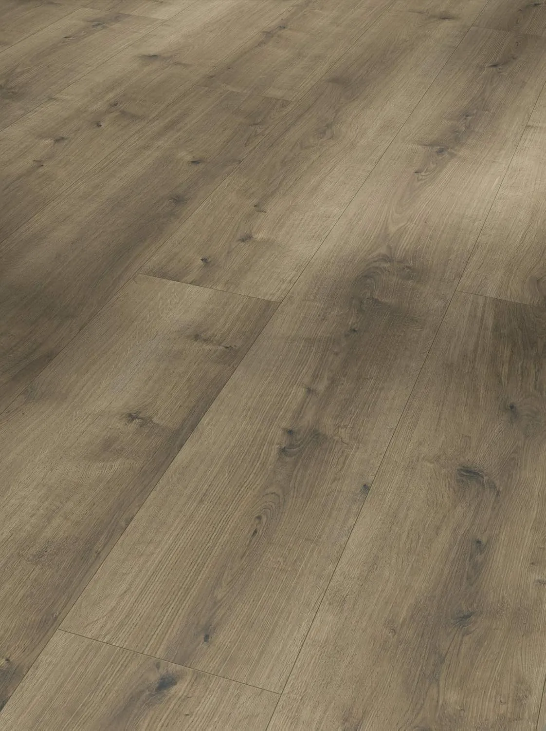 Bild von Parador Modular ONE Designboden Eiche Pure in perlgrau mit 4-seitiger Fase