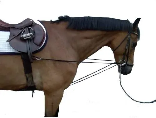 Bild von Pfote und Huf Dreieckszügel Wiener Zügel für Warmblut extra