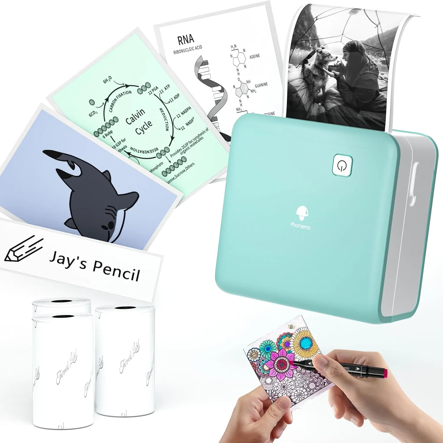 Bild von Phomemo M02 Pro Mini Drucker mit 300 DPI, Bluetooth und 3 Papierrollen für Notizen, Fotos und Etiketten