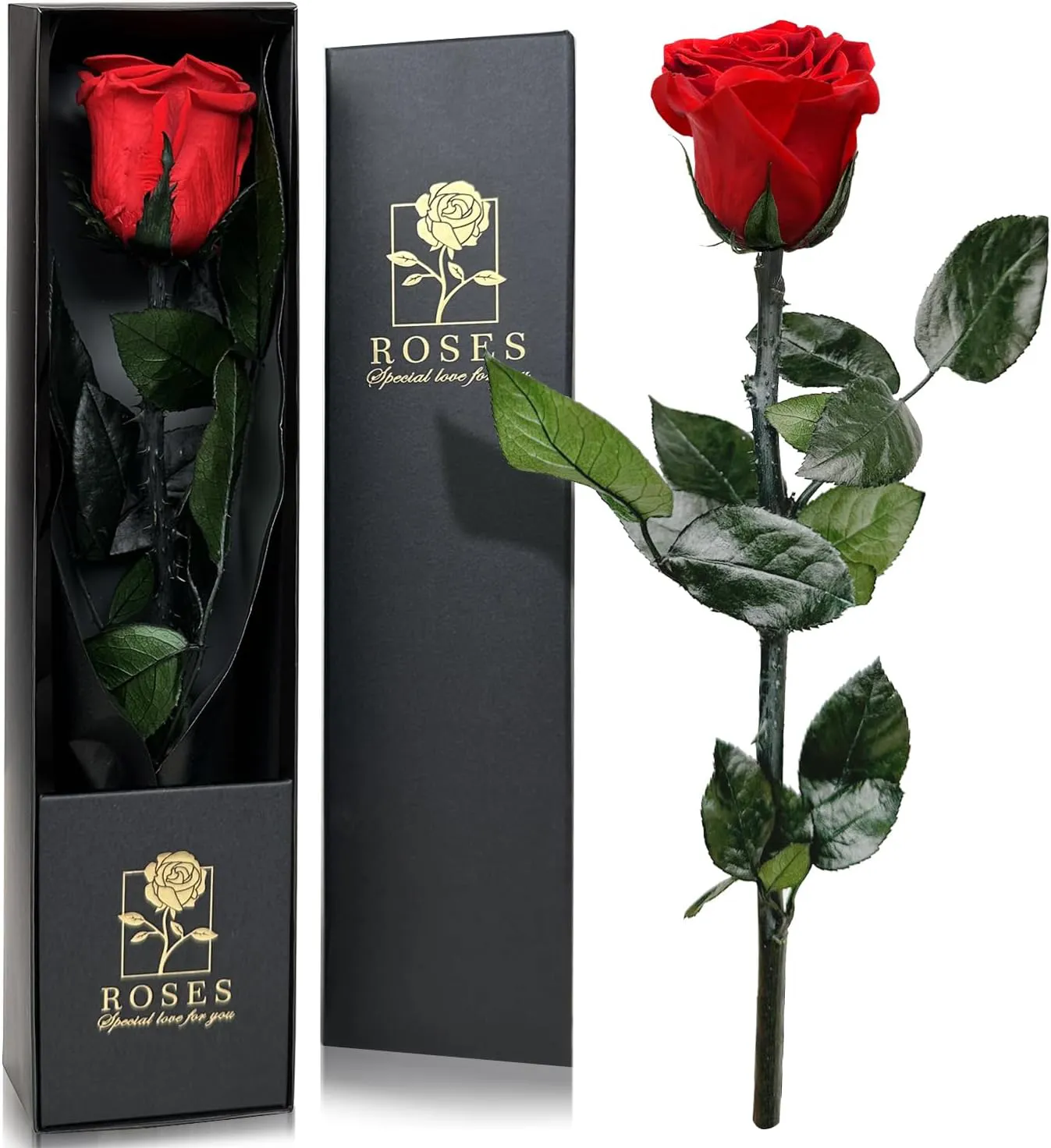 Bild von QHHENTOO Ewige Rose in Geschenkbox für Frauen in Rot