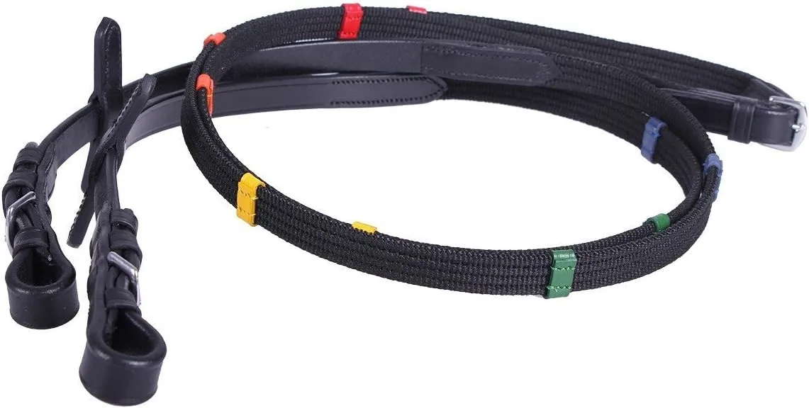 Bild von QHP Gurtzügel mit farbigen Stoppern und Martingalstoppern für Warmblüter