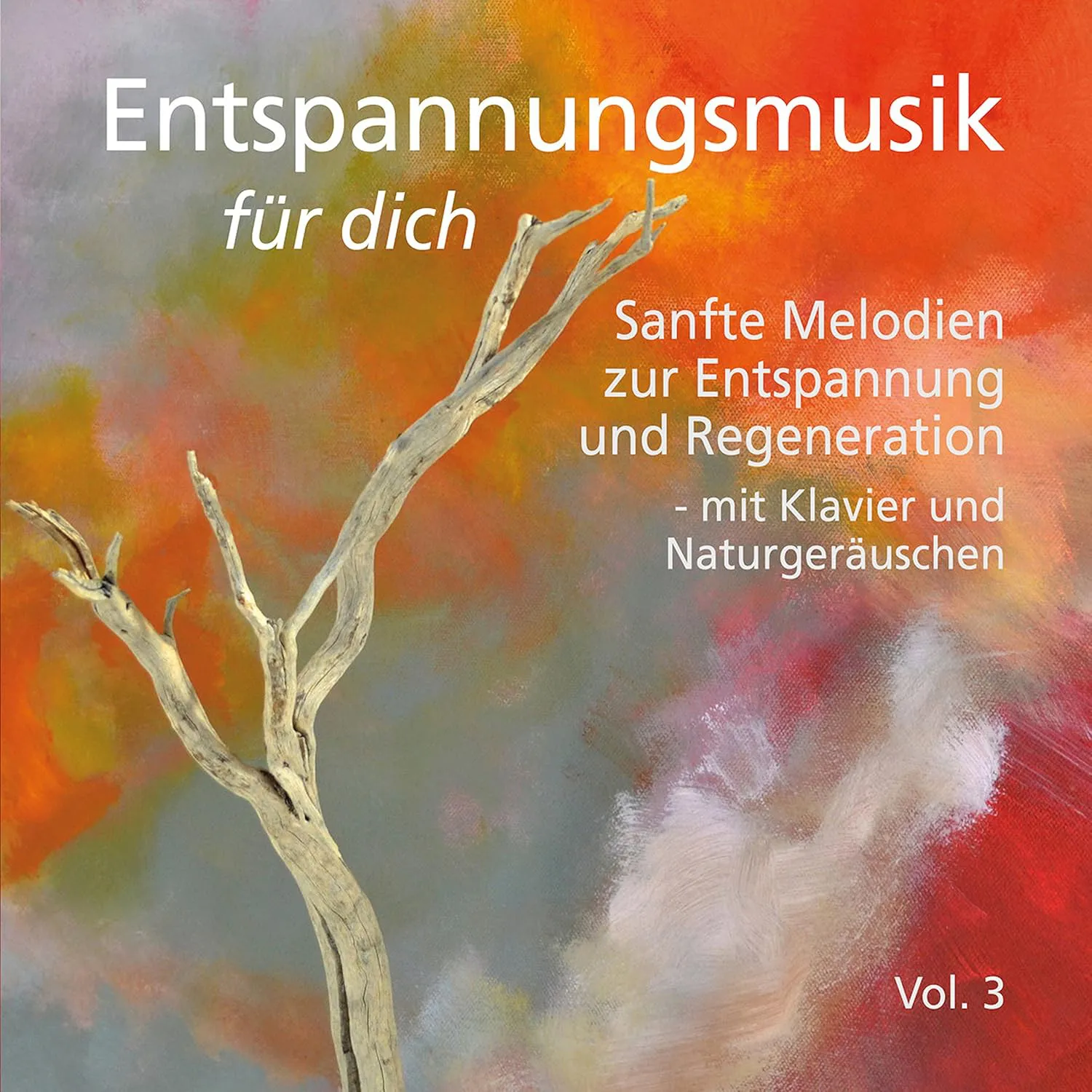 Bild von Sanfte Melodien zur Entspannung und Regeneration Vol. 3 mit Klavier und Naturgeräuschen