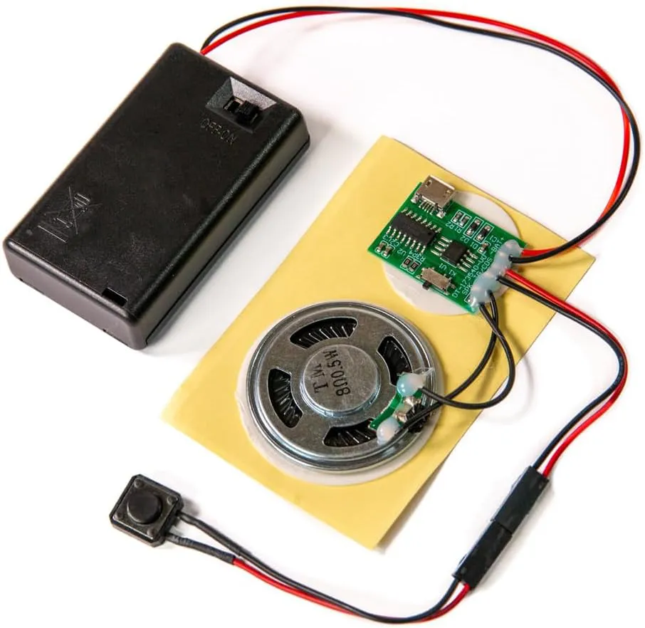 Bild von Talking Products DIY MP3 Soundmodul mit 4 MB Speicher und AAA Batteriefach für personalisierte Geschenke und Modelle
