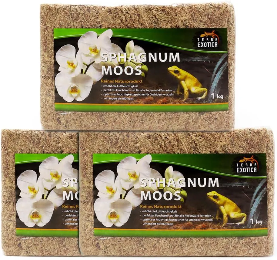 Bild von Terra Exotica Sphagnum Moos 3x1 kg für Garten-, Zimmerpflanzen und Terrarien