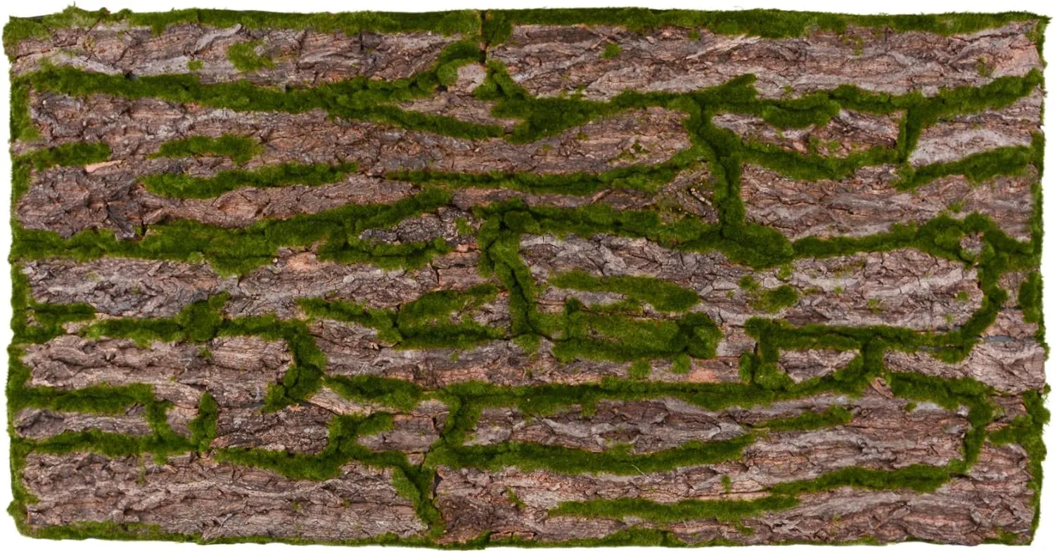 Bild von Terrarium Rückwand 3D Hintergrund in Naturlook aus Rinde, 116 x 58 cm für Terrarien bis 120 x 60 cm