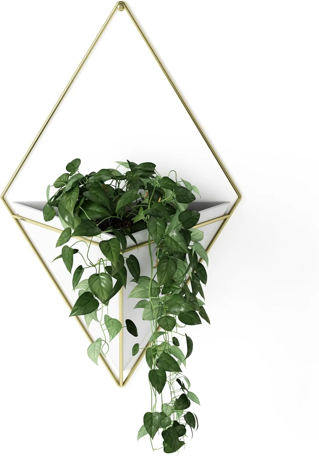Bild von Umbra Trigg Wandvase und geometrische Deko in Weiß und Messing, groß, für Zimmerpflanzen und Sukkulenten