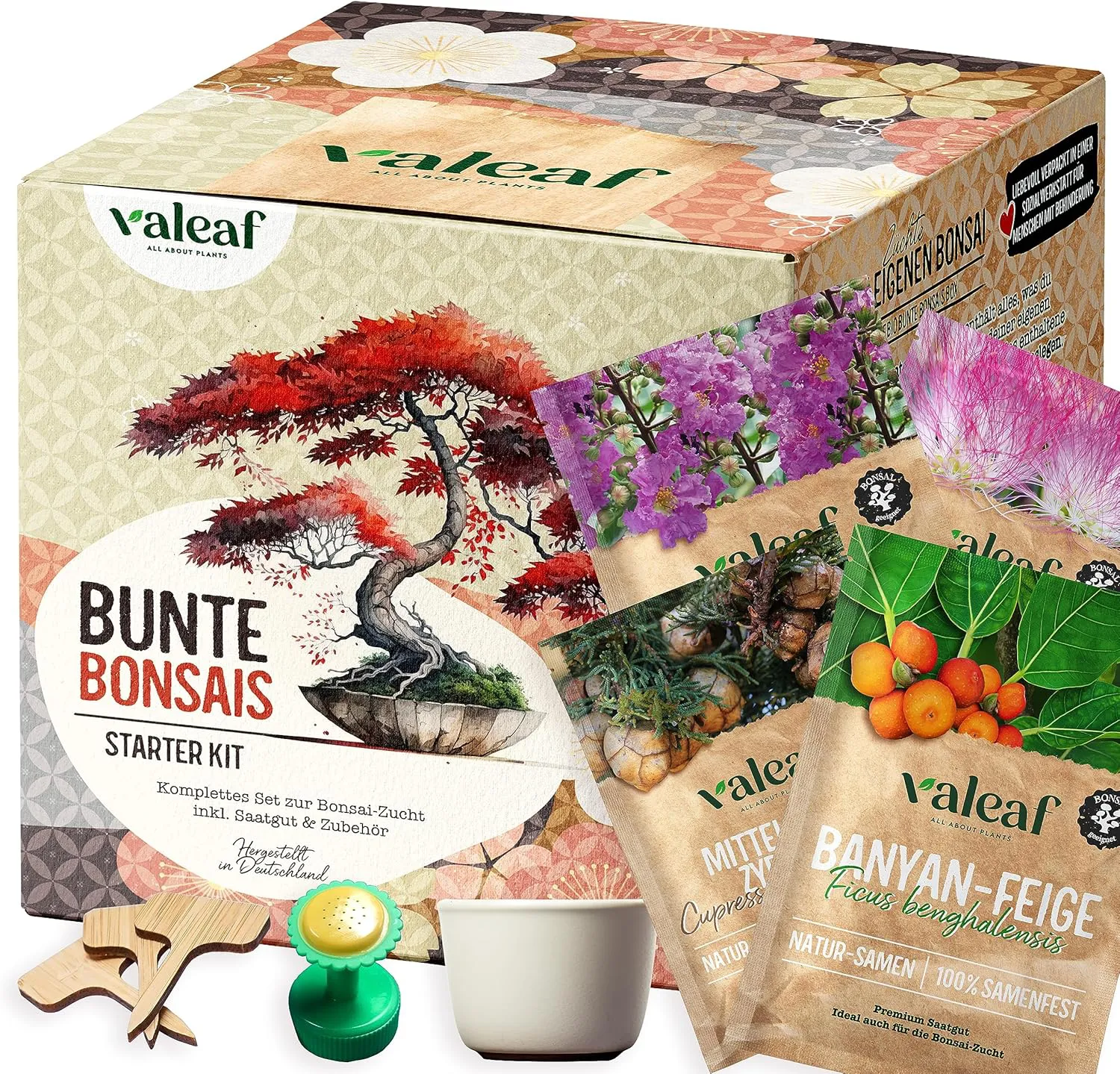 Bild von Valeaf Bonsai Starter Set mit 4 Samen und Schale für die Bonsaizucht