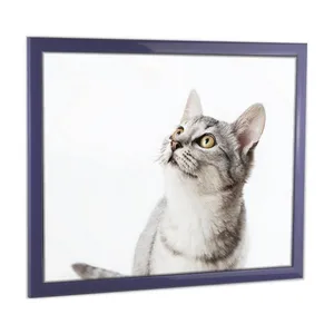 Bild von myposterframe Einzelrahmen Bilderrahmen Cupid Bunt, 36x48 cm, Lila, Echtholz
