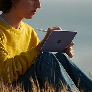 Bild von Apple iPad mini 8.3 Wi-Fi 256GB (Pink)