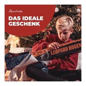 Bild von Abowllon® Kinderbogen Set im Test: Ideal für junge Bogenschützen