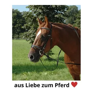 Bild von Harry's Horse Olivenkopftrense Sweet Iron - Doppelt gebrochen